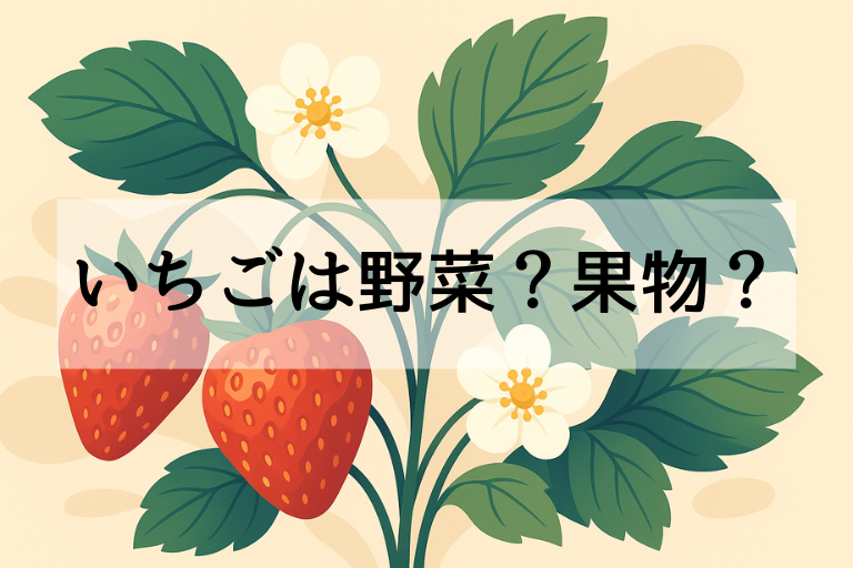 いちごは野菜？果物？農林水産省が定める驚きの分類とは【徹底解説】